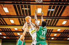 Basketball, Basketball Zweite Liga 2024/25, Grunddurchgang 19.Runde, Mattersburg Rocks, Future Team Steiermark, Petar Zivkovic (8)