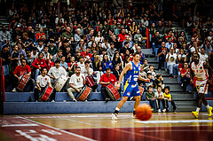 Basketball, Win2Day Superliga 2024/25, Grunddurchgang 4.Runde, Traiskirchen Lions, St. Pölten, Publikum