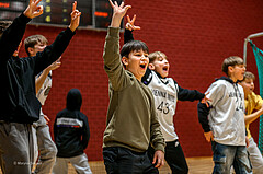 Basketball Zweite Liga 2024/25, Grunddurchgang 15.Runde Vienna United vs. Mattaersburg Rocks


