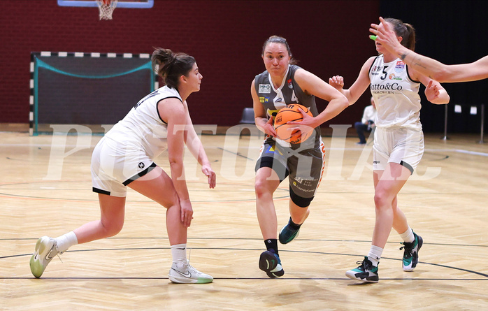 Basketball Damen Superliga 2023/24, Grunddurchgang, 13 Runde Basket Flames vs. Duchess Klosterneuburg