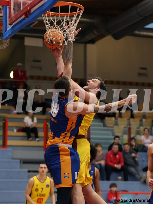 Basketball Zweite Liga 2024/25, Grunddurchgang 8.Runde Traiskirchen Lions NextGen vs. BBU Salzburg