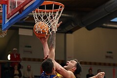 Basketball Zweite Liga 2024/25, Grunddurchgang 8.Runde Traiskirchen Lions NextGen vs. BBU Salzburg


