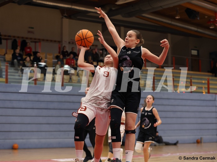 Basketball Superliga 2024/25, SLWU14 Traiskirchen Lionesses vs. ATUS Gratkorn Scorpions


