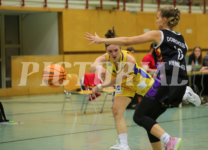 Basketball Damen Superliga 2023/24, Grunddurchgang 3.Runde Vienna United vs. SKN St.Pölten


