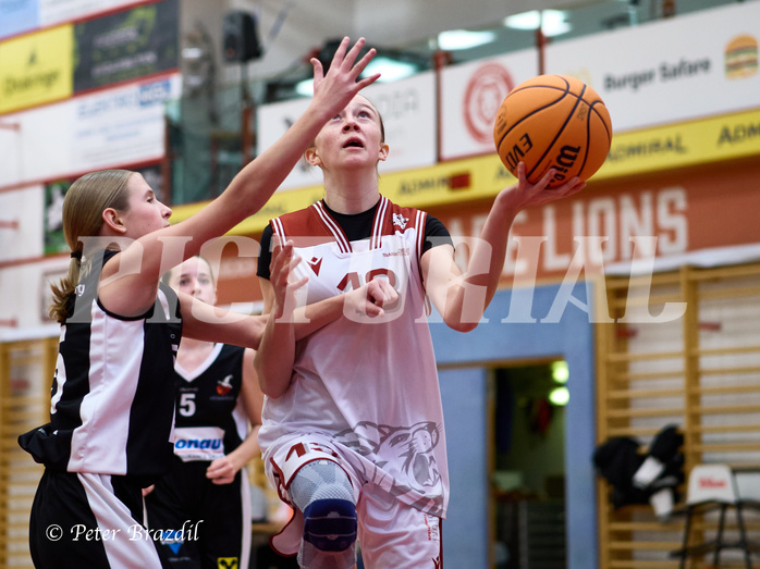 Basketball Superliga 2024/25, SLWU14 Traiskirchen Lionesses vs. DBK Steyrer Witches


