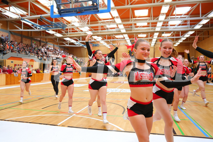 Basketball Zweite Liga 2023/24, Playoff, Finale Spiel 3 Mistelbach Mustangs vs. Union Deutsch Wagram
Basketball Zweite Liga 2023/24, Playoff, Finale Spiel 3 Mistelbach Mustangs vs. Union Deutsch Wagram