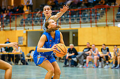 Basketbal lAustria Cup 2024/25, Viertelfinale Vienna United vs. DBB Wels


