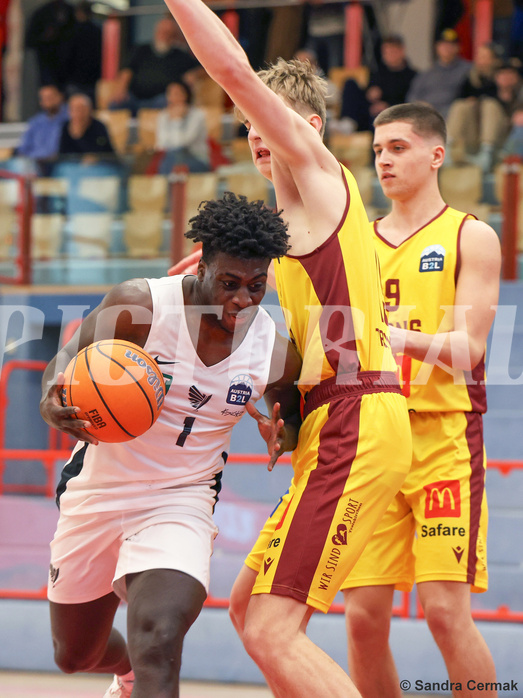 Basketball Zweite Liga 2024/25, Grunddurchgang 17.Runde Traiskirchen Lions NextGen vs. Raiders Tirol