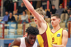 Basketball Zweite Liga 2024/25, Grunddurchgang 17.Runde Traiskirchen Lions NextGen vs. Raiders Tirol


