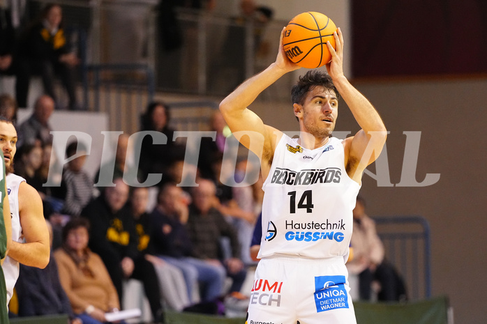 Basketball 2. Liga 2023/24, Grunddurchgang 15.Runde , Güssing  vs. Dornbirn


