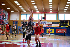 Basketball Superliga 2024/25, SLMU16 Traiskirchen Lionesses vs. VKL Vikings Kammer



