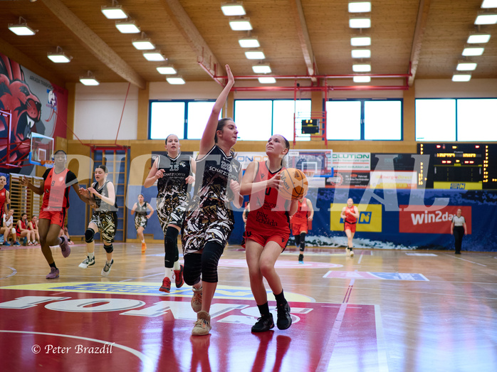Basketball Superliga 2024/25, SLMU16 Traiskirchen Lionesses vs. VKL Vikings Kammer


