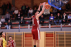 Basketball Zweite Liga 2024/25, Grunddurchgang 9.Runde Mistelbach Mustangs vs. Trasikirchen NextGen


