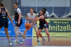 Basketball Superliga 2023/24, Grunddurchgang 13.Runde, DBB LZ OÖ vs SKN St. Pölten

