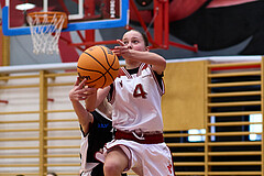 Basketball Superliga 2024/25, SLWU14 Traiskirchen Lionesses vs. DBK Steyrer Witches


