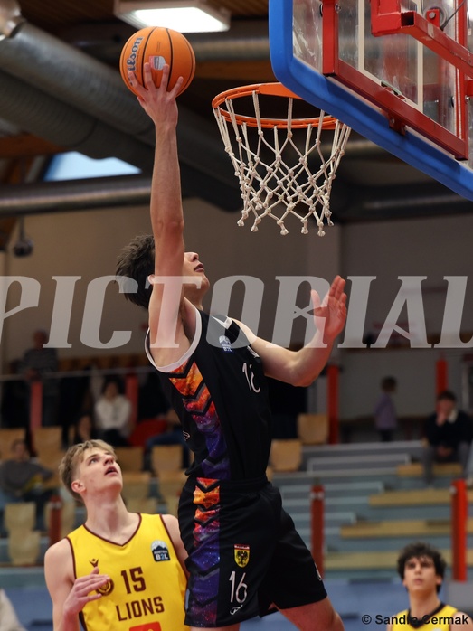 Basketball Zweite Liga 2024/25, Grunddurchgang 16.Runde Traiskirchen Lions NextGen vs. Vienna United