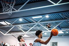 Basketball, Basketball Zweite Liga 2024/25, Grunddurchgang 1.Runde, Deutsch Wagram Alligators, Upper Austrian Ballers, Steven Kaltenbrunner (8)