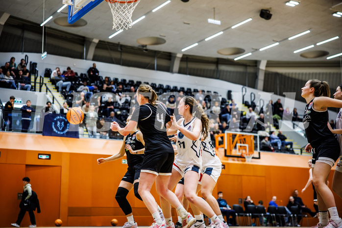 Basketball, Win2Day Basketball Damen Superliga 2024/25, Grunddurchgang 14.Runde, Vienna Timberwolves, Basket Flames, Stella Popp (4)
