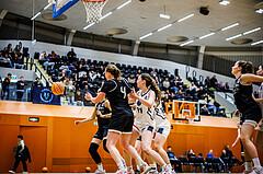 Basketball, Win2Day Basketball Damen Superliga 2024/25, Grunddurchgang 14.Runde, Vienna Timberwolves, Basket Flames, Stella Popp (4)