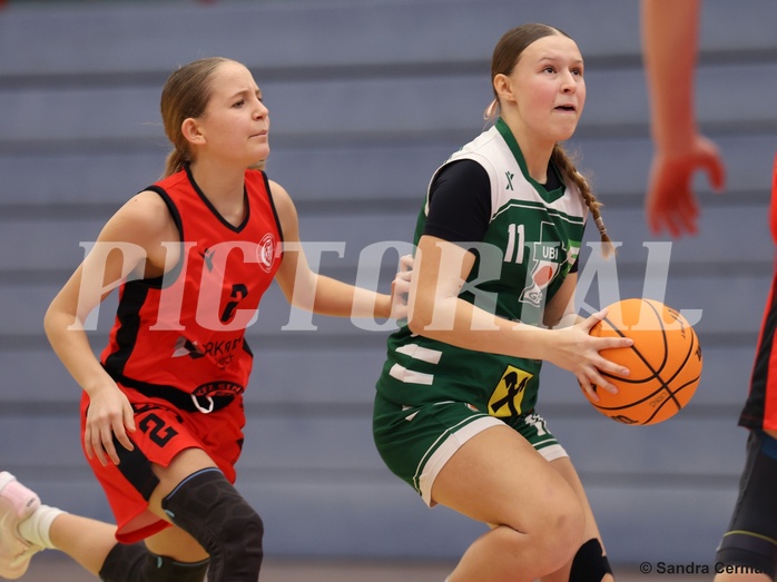 Basketball Superliga 2024/25, SLWU14 Traiskirchen Lionesses vs. UBI Graz



