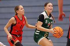 Basketball Superliga 2024/25, SLWU14 Traiskirchen Lionesses vs. UBI Graz


