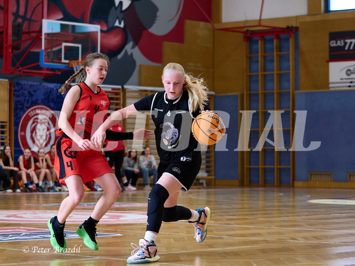 Basketball Superliga 2024/25, SLWU14 Traiskirchen Lionesses vs. Gratkorn Scorpions


