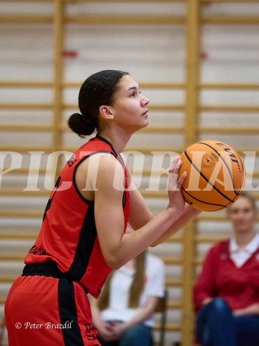Basketball Superliga 2024/25, SLWU16 Traiskirchen Lionesses vs. BBC Nord Dragons


