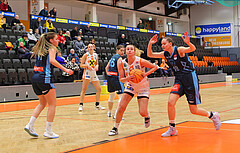 Basketball Austria Cup 2023/24, Viertelfinale BK Duchess Klosterneuburg vs. Vienna Timberwolves


