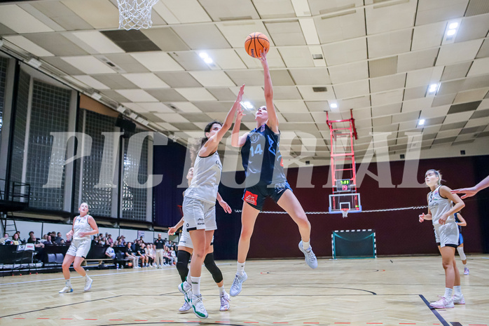 Basketball Damen Superliga 2024/25, Grunddurchgang 03.Runde BASKET FLAMES vs. TIMBERWOLVES


