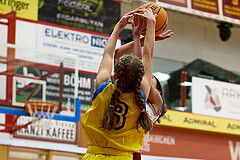 Basketball Superliga 2024/25, SLWU16 Traiskirchen Lionesses vs. UBBC Herzogenburg


