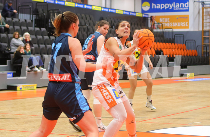 Basketball Damen Superliga 2023/24, Grunddurchgang 9.Runde BK Duchess Klosterneuburg vs. Vienna Timberwolves


