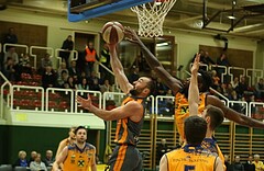 Basketball ABL 2017/18, Grunddurchgang 22.Runde Fürstenfeld Panthers vs. BK Dukes Klosterneuburg