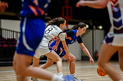 01.03.2025 Österreichischer Basketballverband 2024/25, SLWU19 Vienna United vs. DBB Basketgirls Wels