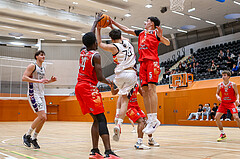 11.01.2025 Österreichischer Basketballverband 2024/25, SLMU19, Vienna United vs BC Vienna