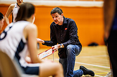 Basketball, Win2Day Basketball Damen Superliga 2024/25, Grunddurchgang 9.Runde, Vienna Timberwolves, Klosterneuburg Duchess, Hubert Schmidt (Head Coach)