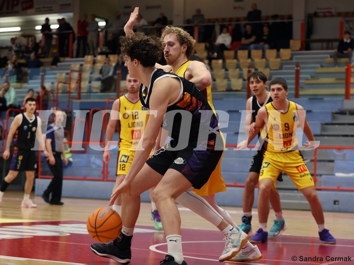 Basketball Zweite Liga 2024/25, Grunddurchgang 16.Runde Traiskirchen Lions NextGen vs. Vienna United


