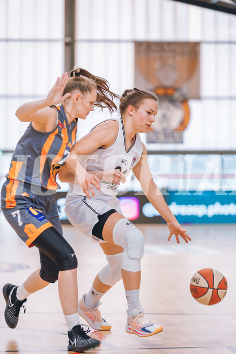 Basketball Basketball Superliga 2020/21, Grunddurchgang 10.Runde Vienna D.C. Timberwolves vs. BK Duchess
