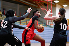Basketball Superliga 2024/25, SLWU16 Traiskirchen Lionesses vs. BBC Nord Dragons


