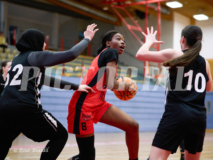 Basketball Superliga 2024/25, SLWU16 Traiskirchen Lionesses vs. BBC Nord Dragons


