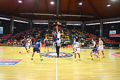 Basketball Superliga 2024/25, Gruunddurchgang 4.Runde BC Vienna vs. BBC Nord Dragonz


