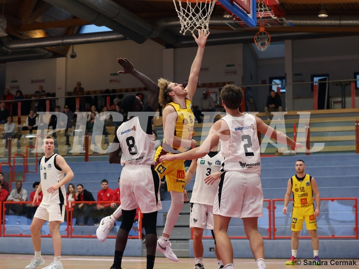 Basketball Zweite Liga 2024/25, Grunddurchgang 17.Runde Traiskirchen Lions NextGen vs. Raiders Tirol


