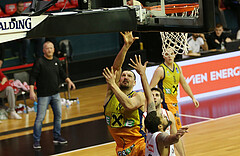 Basketball Superliga 2019/20, Grunddurchgang 13.Runde BC Vienna vs. UBSC Graz