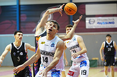 Basketball 2. Liga 2024/25, Grunddurchgang 9.Runde , Güssing vs. Vienna United


