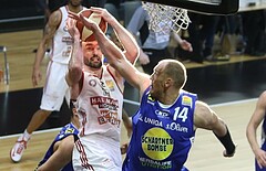 Basketball ABL 2016/17, Grunddurchgang 31.Runde BC Vienna vs. Gmunden Swans