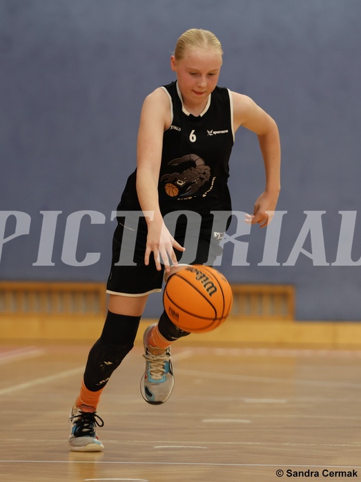 Basketball Superliga 2024/25, SLWU14 Traiskirchen Lionesses vs. ATUS Gratkorn Scorpions



