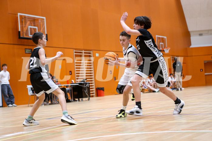 08.03.2025 Österreichischer Basketballverband 2024/25, SLMU14, SU Döbling vs. BBC Nord Dragonz