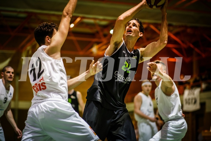 Basketball, 2.Bundesliga, Grunddurchgang 22.Runde, BBC Nord Dragonz, Basket Flames, Fabricio Vay (22)
