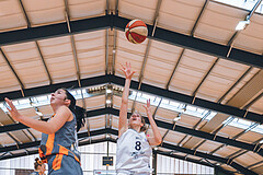 Basketball Basketball Superliga 2020/21, Grunddurchgang 10.Runde Vienna D.C. Timberwolves vs. BK Duchess
