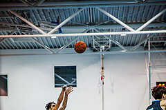 Basketball, Basketball Zweite Liga 2024/25, Grunddurchgang 13.Runde, UDW Alligators, Vienna Timberwolves, Armin Karian (7)