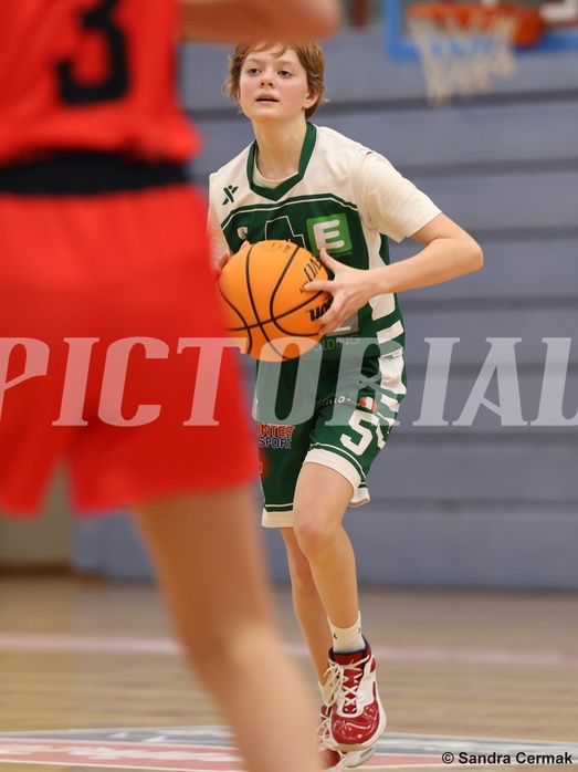 Basketball Superliga 2024/25, SLWU14 Traiskirchen Lionesses vs. UBI Graz


